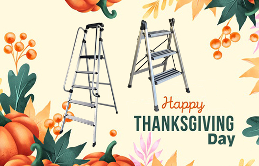 Thanksgiving 2021 | Choose a nice home ladder for family