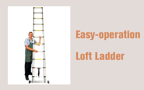 telescopic step ladder