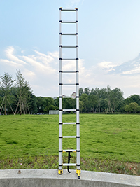 3.8 m telescopic ladder is erect in the grass