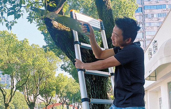 a man is pruning branches with a soft close telescopic ladder